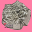 Silver Metallic Shorts